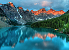 华体会体育-哈维+布罗金顿就位 辽篮阵容得到补强