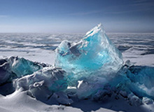 华体会体育-哈维+布罗金顿就位 辽篮阵容得到补强